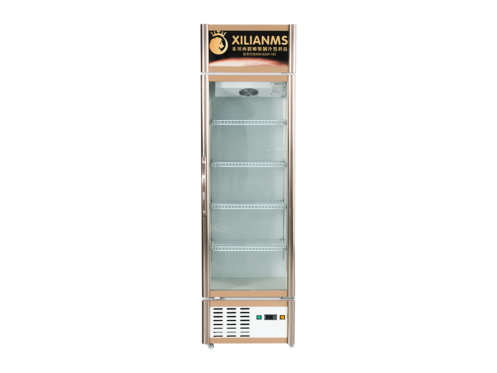 Single Door Freezer Display Cabinet