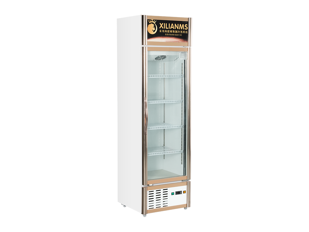 Single Door Freezer Display Cabinet