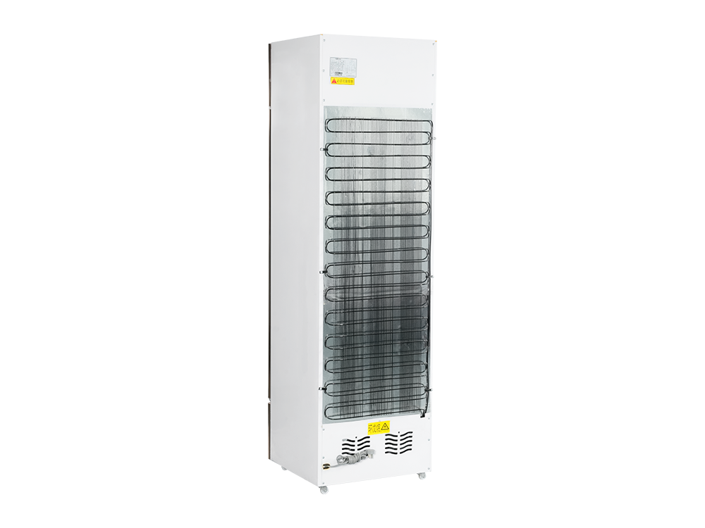 Single Door Freezer Display Cabinet