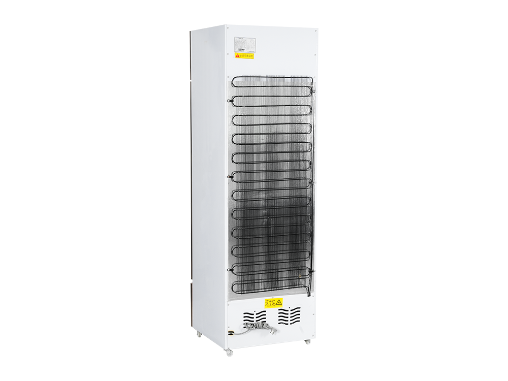 Single Door Freezer Display Cabinet