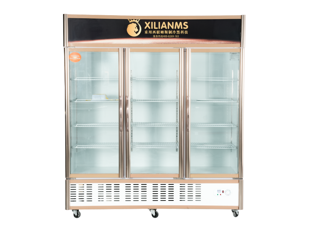 Open Door Type (Lower Unit) Freezer Display Cabinet