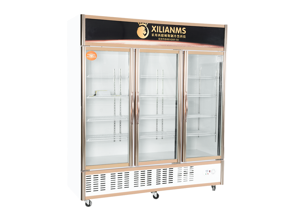 Open Door Type (Lower Unit) Freezer Display Cabinet