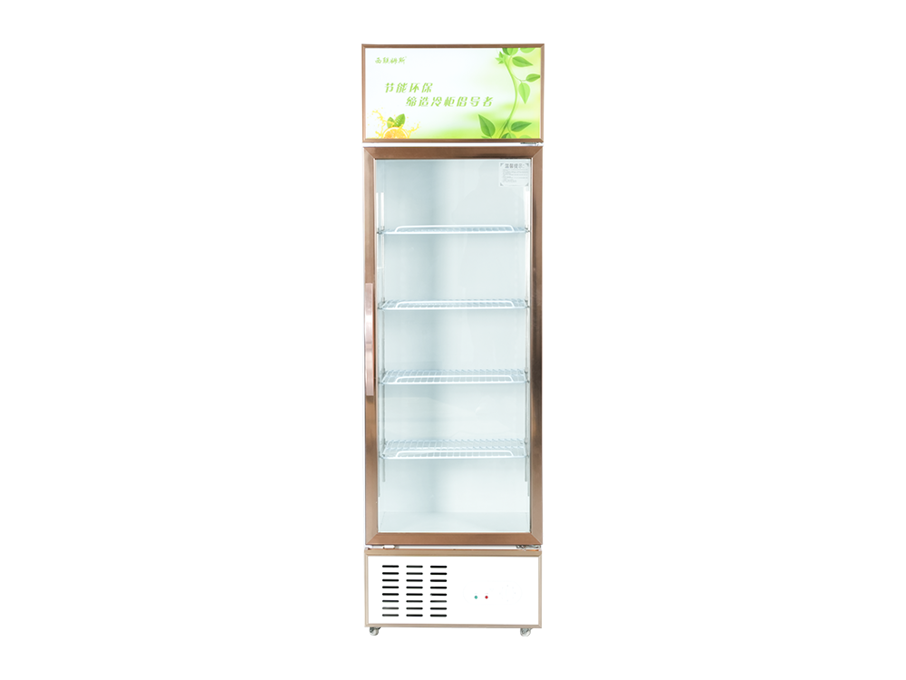 Single Door Freezer Display Cabinet