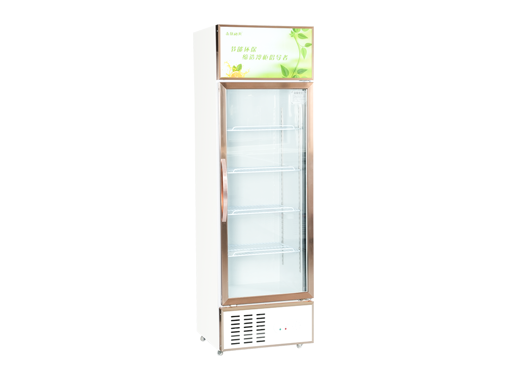 Single Door Freezer Display Cabinet