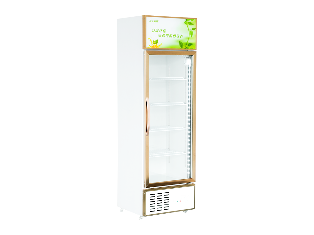 Single Door Freezer Display Cabinet