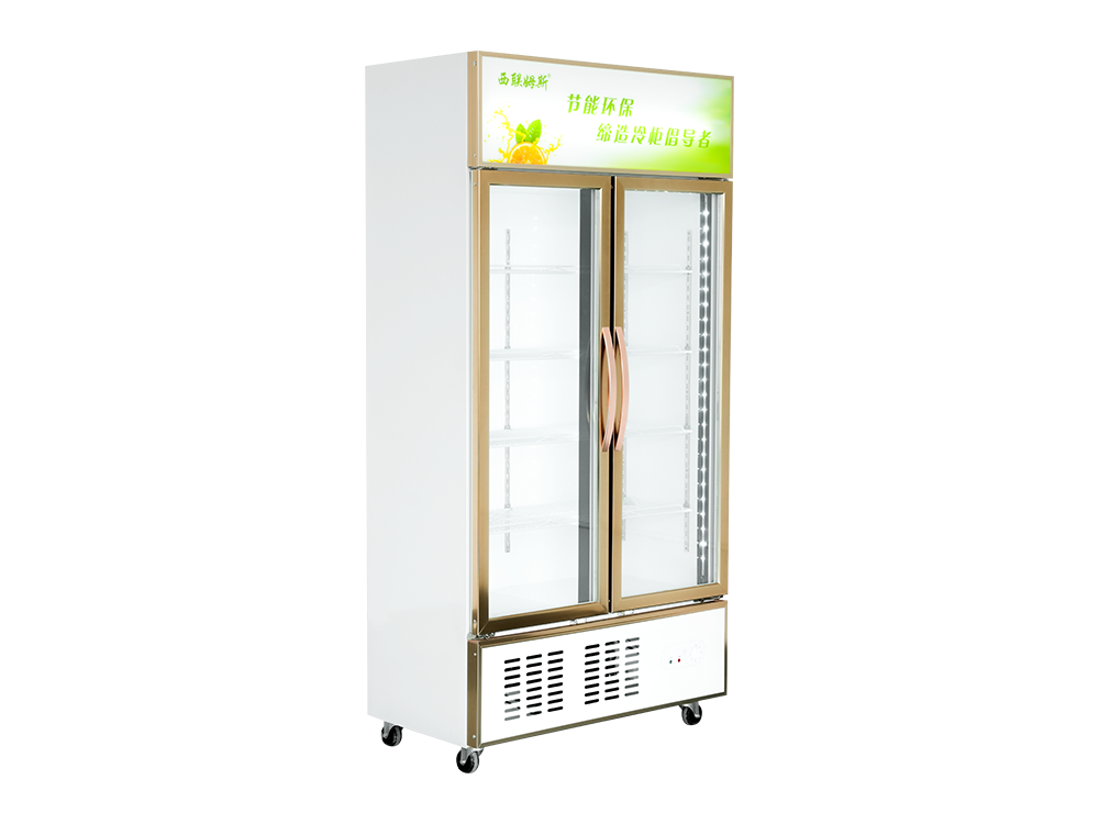 Open Door Type (Lower Unit) Freezer Display Cabinet