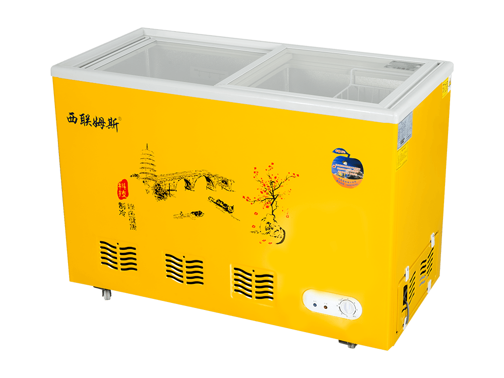 Glass Door Type Freezer
