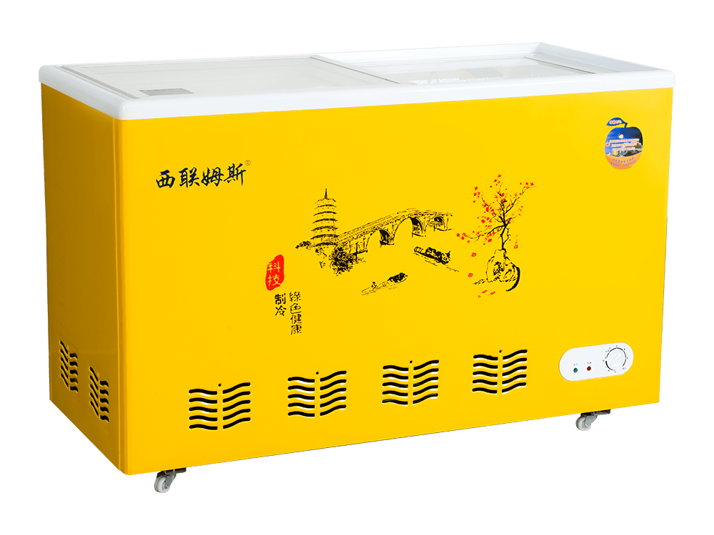 Glass Door Type Freezer