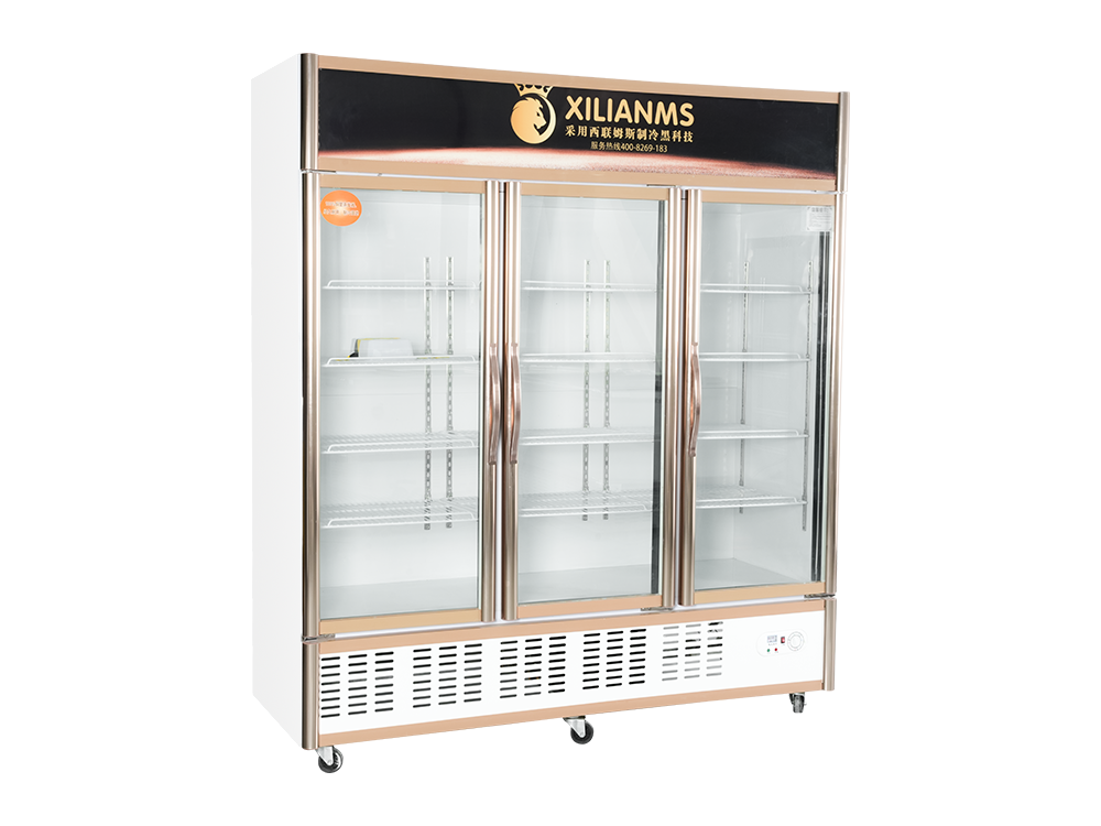 Open Door Type (Lower Unit) Freezer Display Showcase