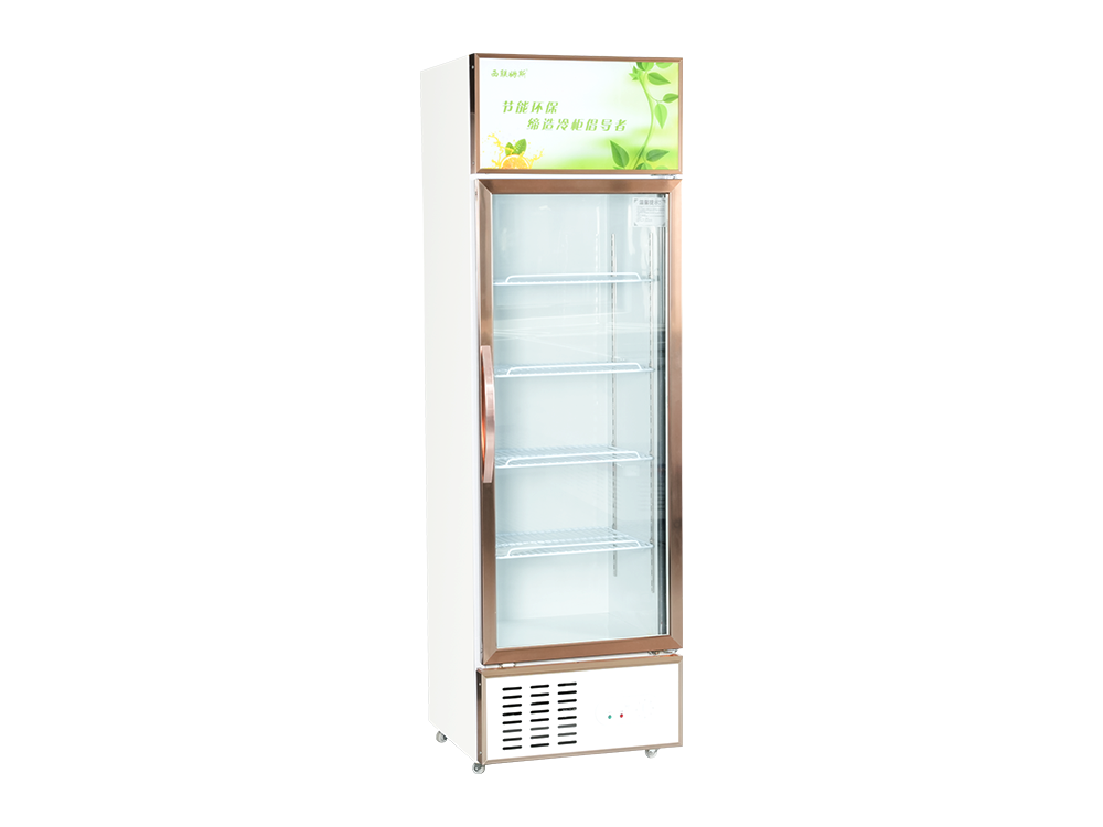 Single Door Freezer Display Showcase